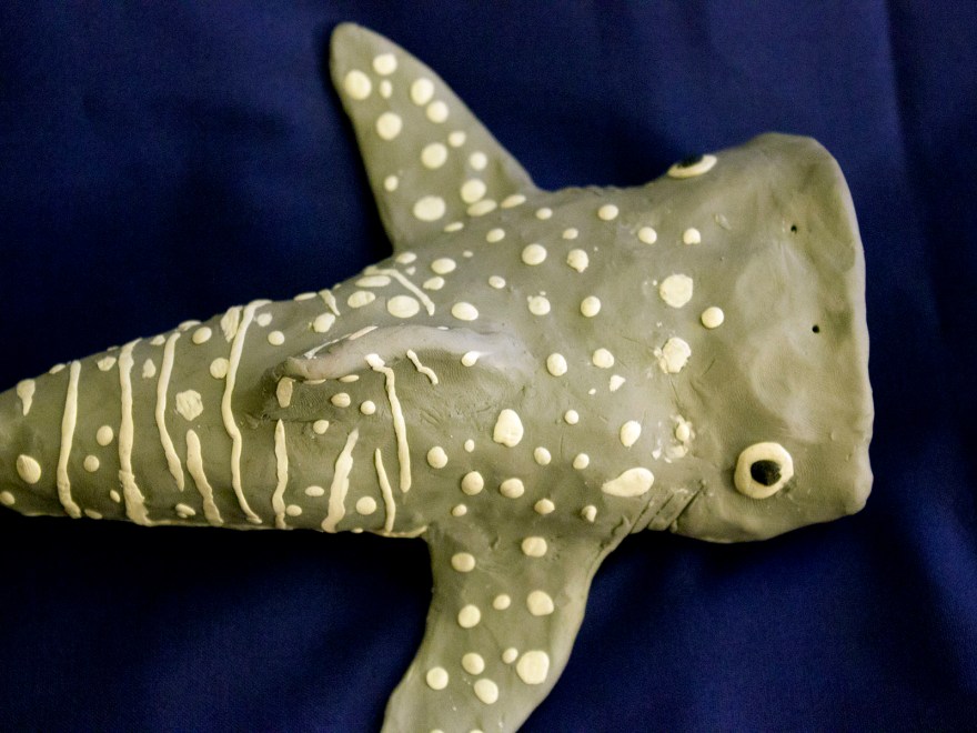 The Deep: A Whale Shark